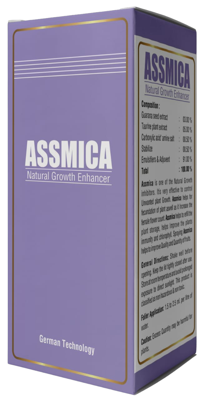 Assmica