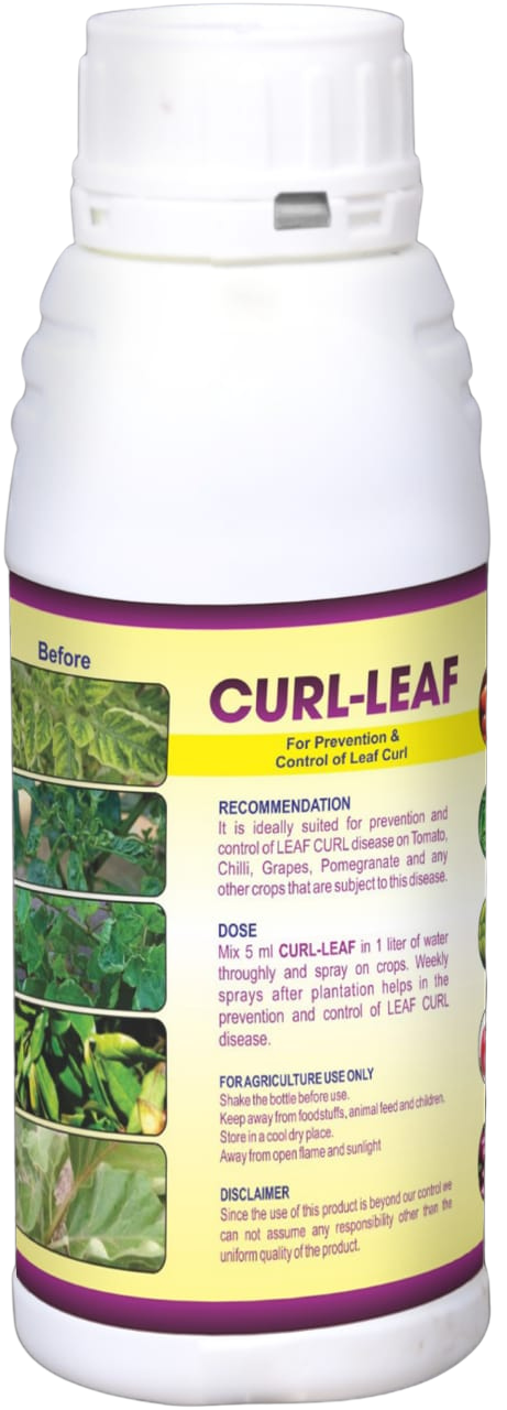 Curl Leaf